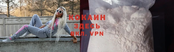 твердый Касимов