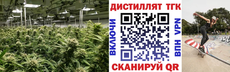 Дистиллят ТГК Wax сколько стоит Южноуральск
